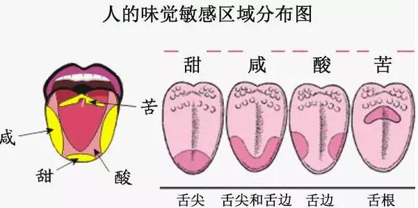 葡萄酒